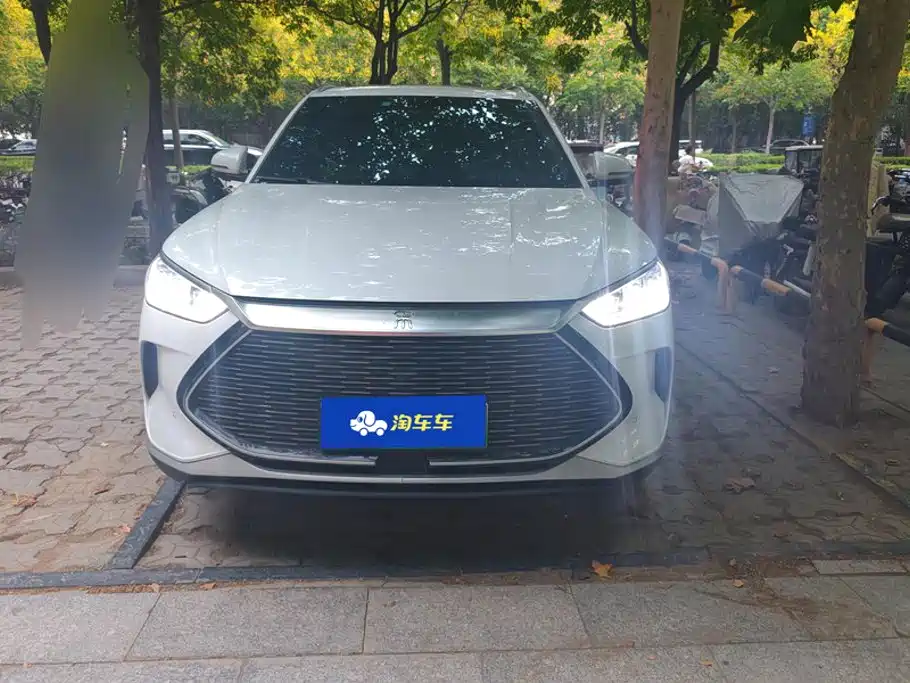 BYD PLUS New Energy — фото 2