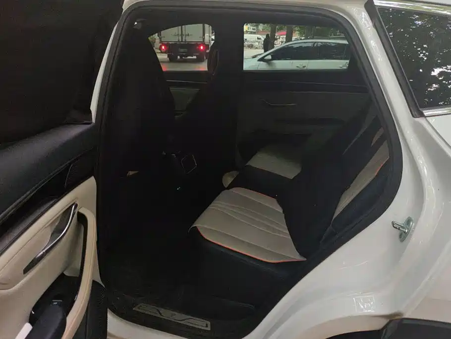 BYD PLUS New Energy — фото 11