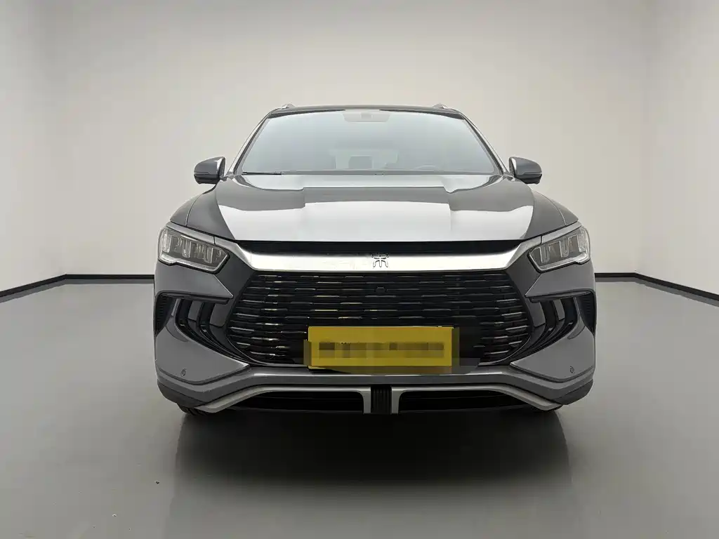 BYD Pro New Energy — фото 2