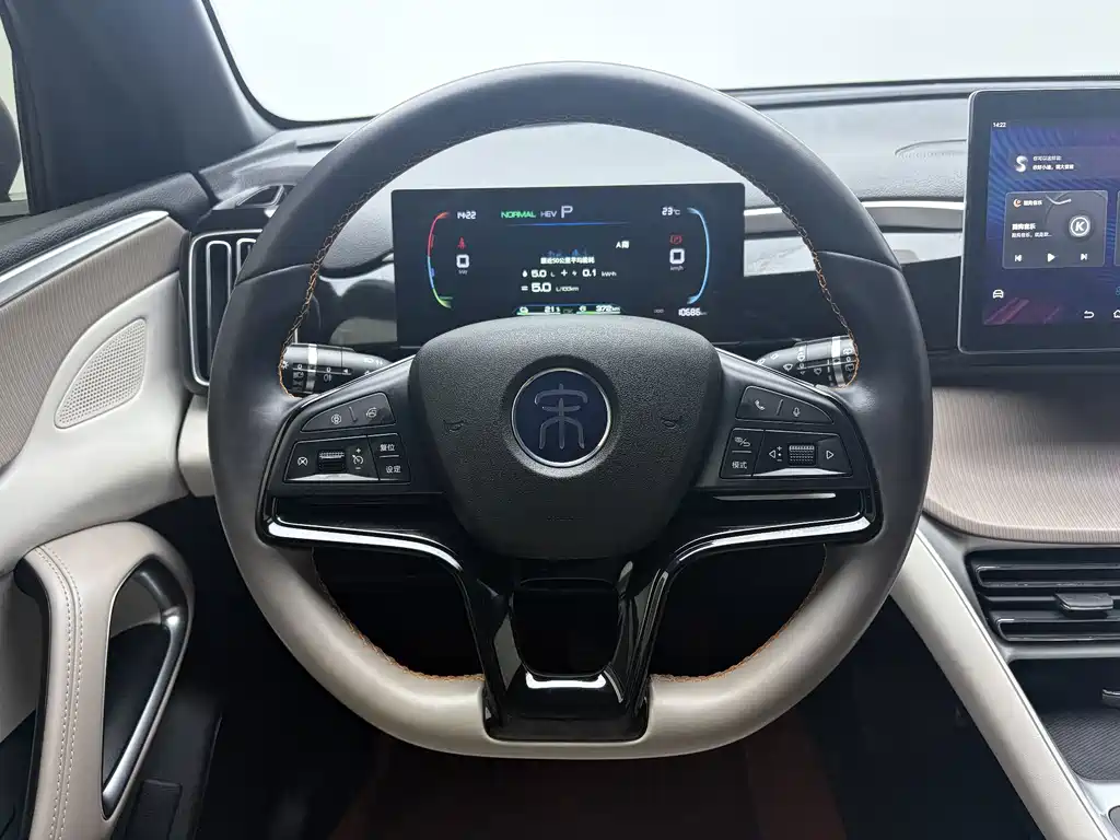 BYD Pro New Energy — фото 16
