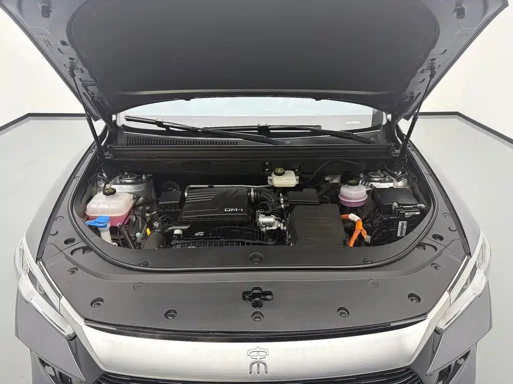 BYD Pro New Energy — фото 18