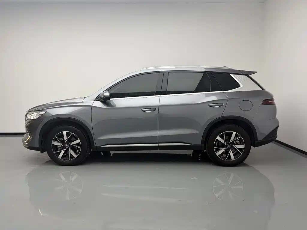 BYD Pro New Energy — фото 8