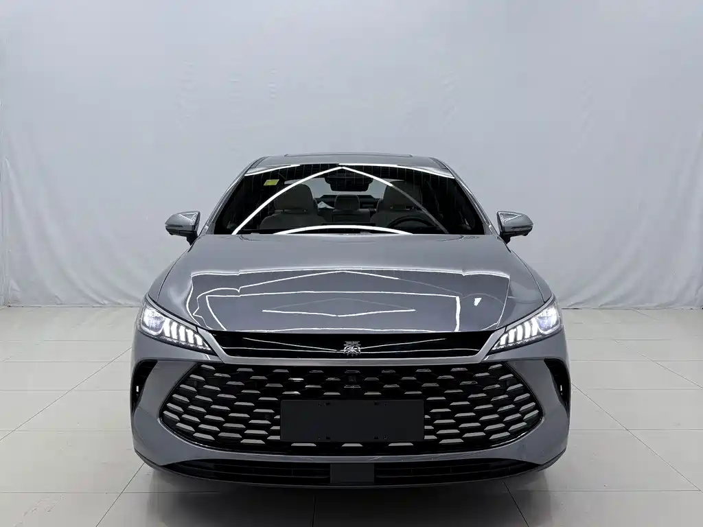 BYD Qin PLUS — фото 2