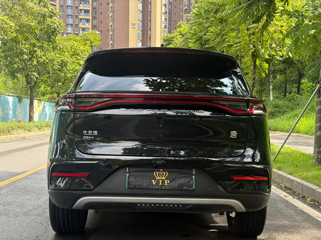 BYD Tang New Energy — фото 5