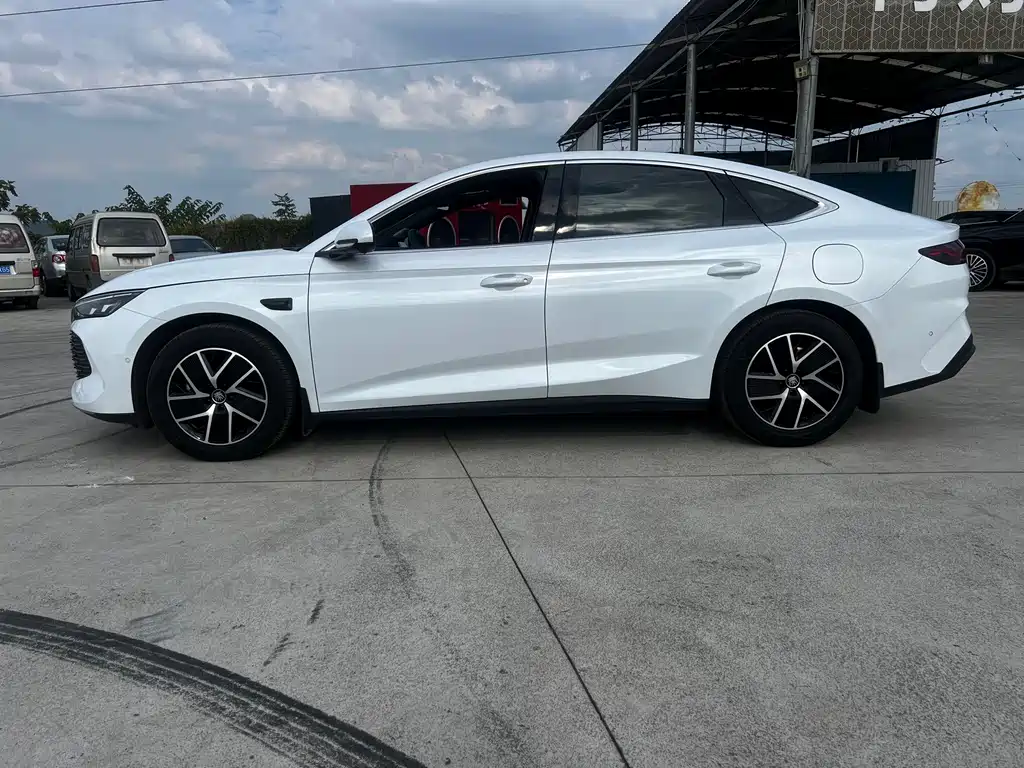 BYD Qin L — фото 4