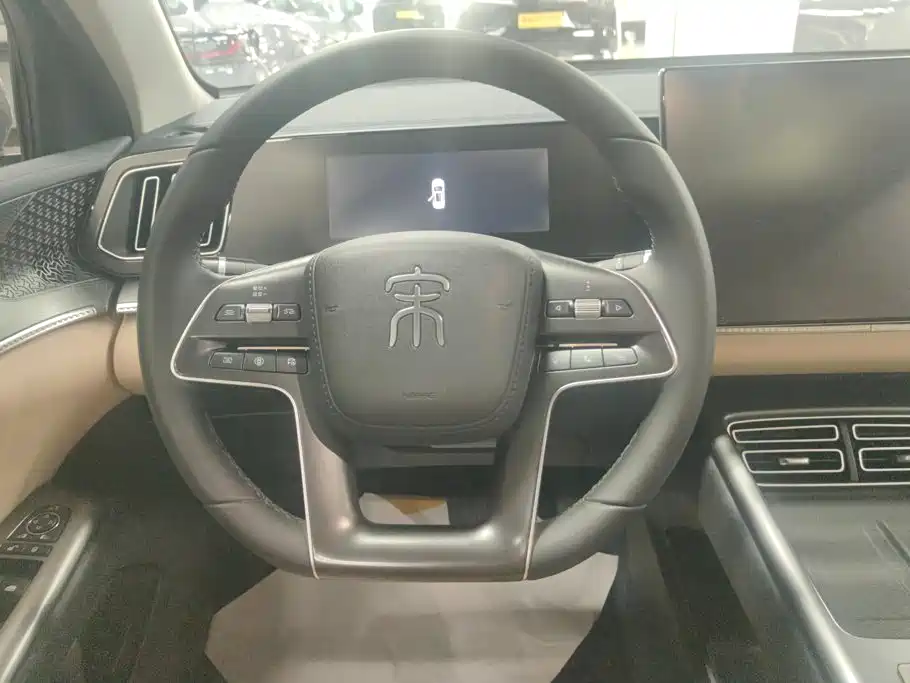 BYD Pro New Energy — фото 15