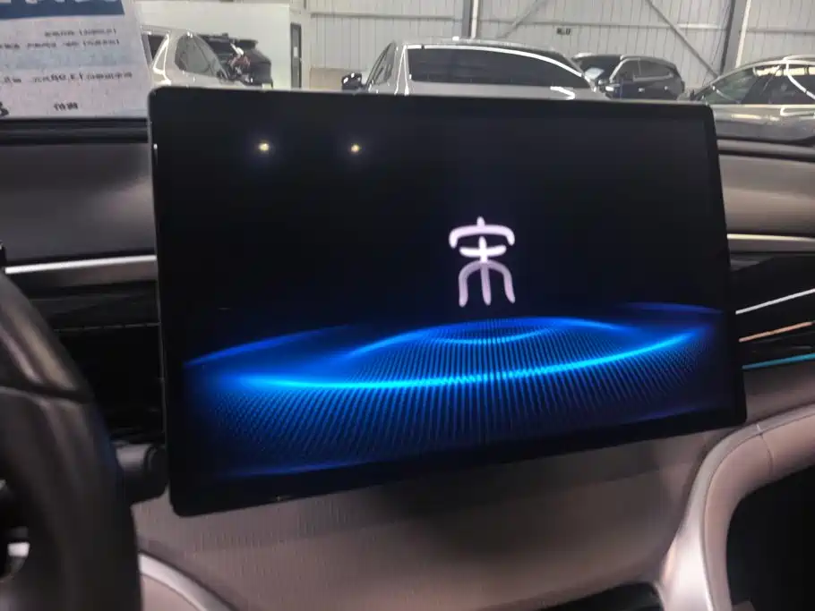 BYD Pro New Energy — фото 13