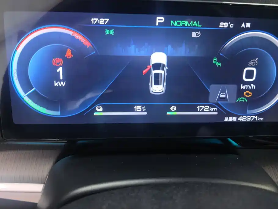 BYD Pro New Energy — фото 14