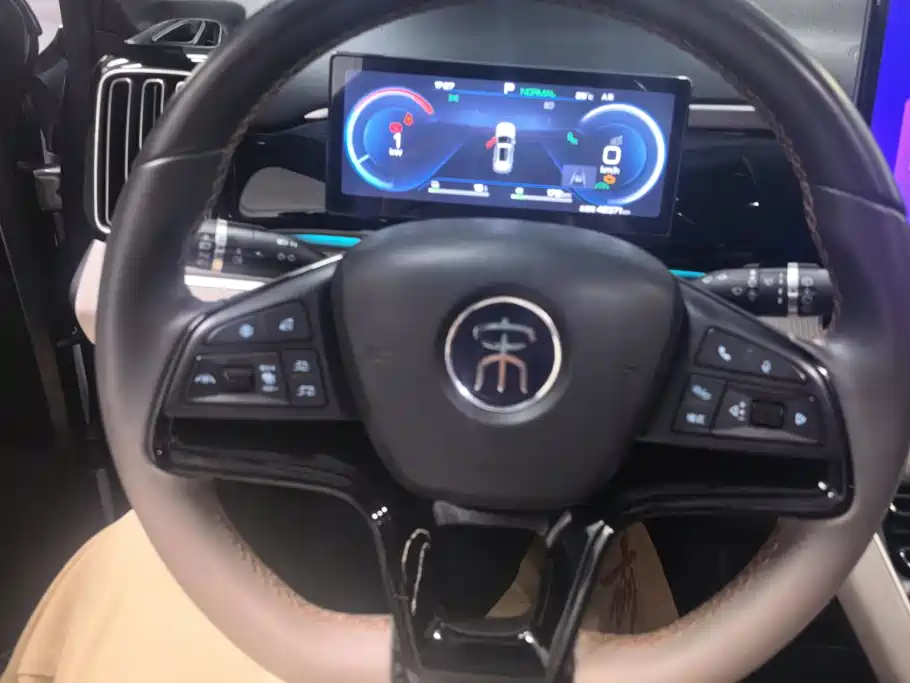 BYD Pro New Energy — фото 15