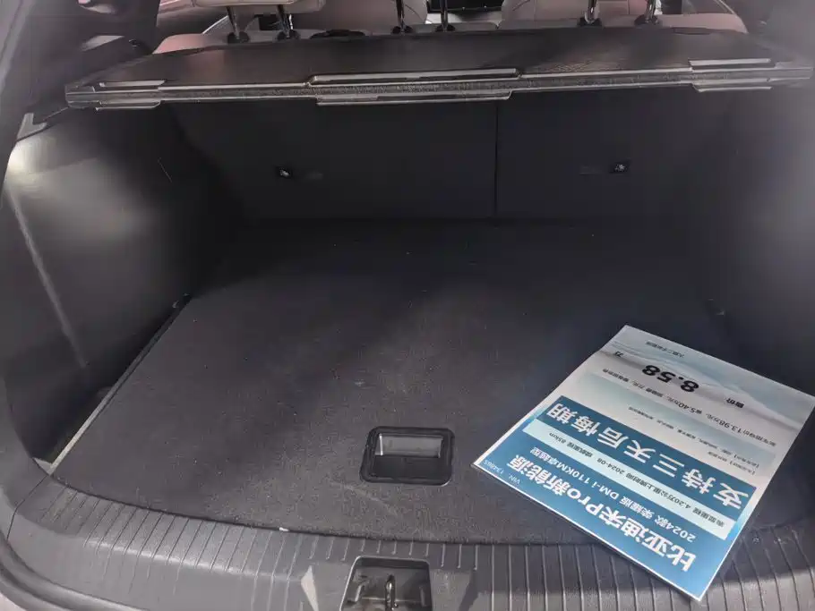 BYD Pro New Energy — фото 4