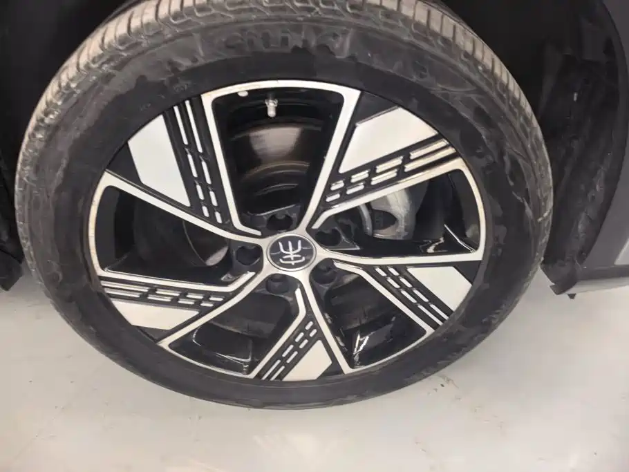 BYD Pro New Energy — фото 6