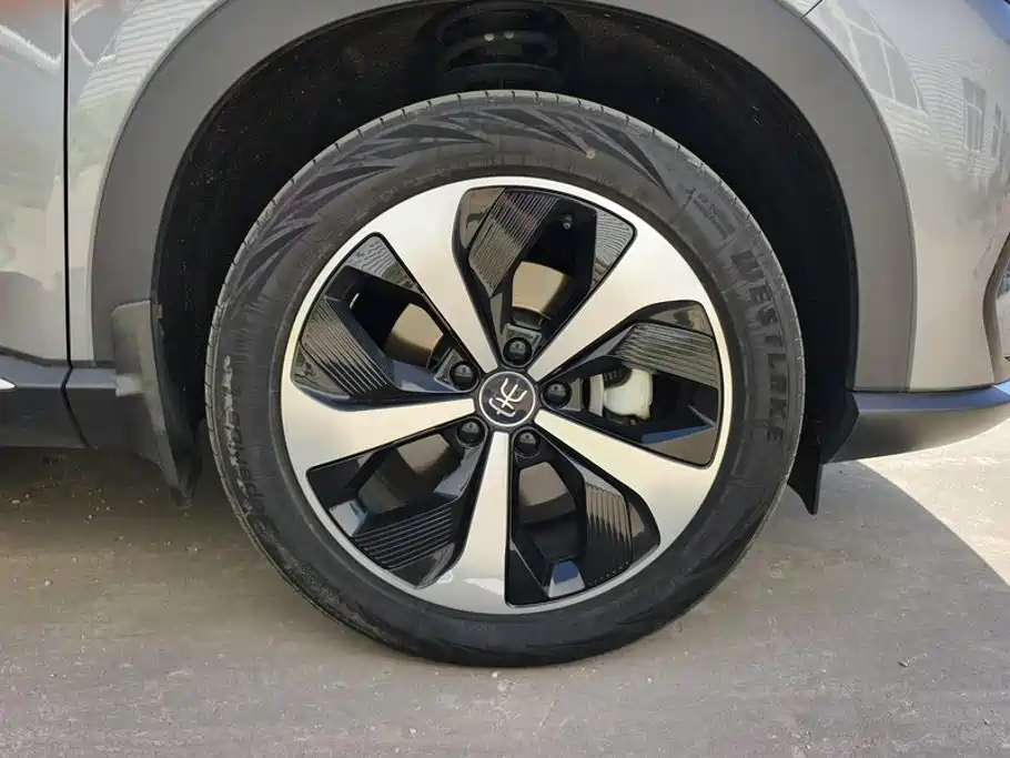 BYD PLUS New Energy — фото 6