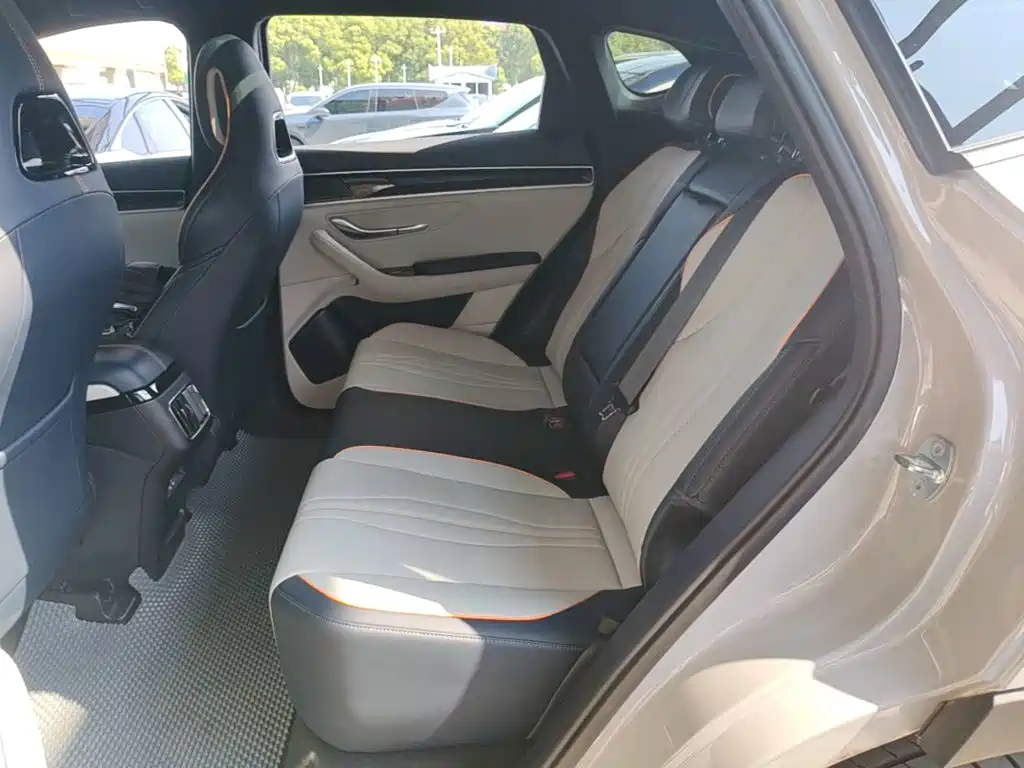 BYD PLUS New Energy — фото 17