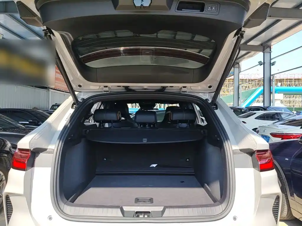 BYD PLUS New Energy — фото 19