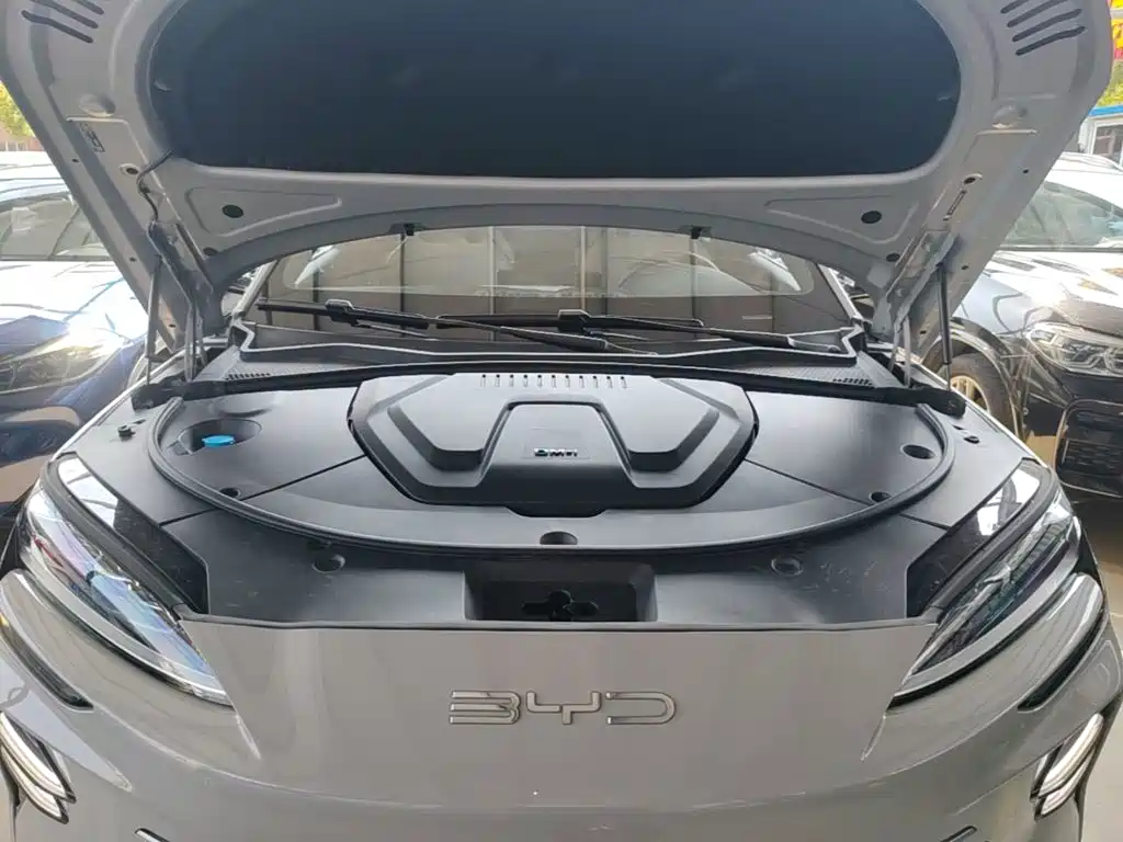 BYD PLUS New Energy — фото 20