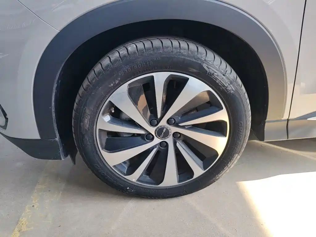 BYD PLUS New Energy — фото 23