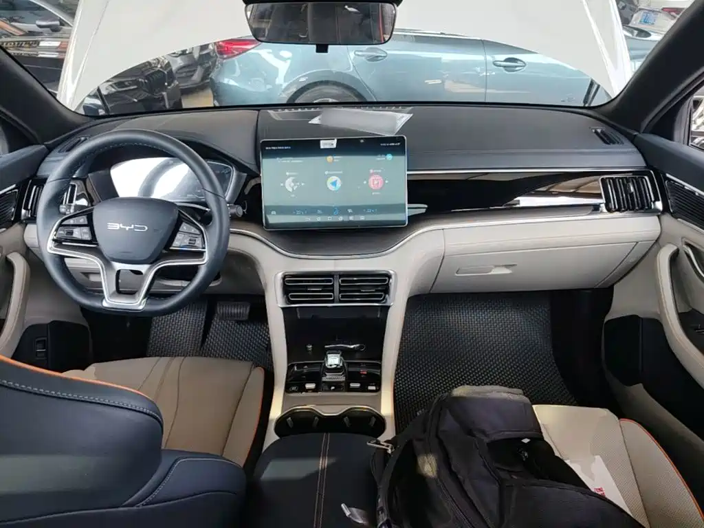 BYD PLUS New Energy — фото 10