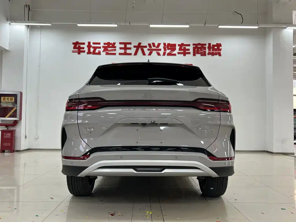 BYD PLUS New Energy — фото 14