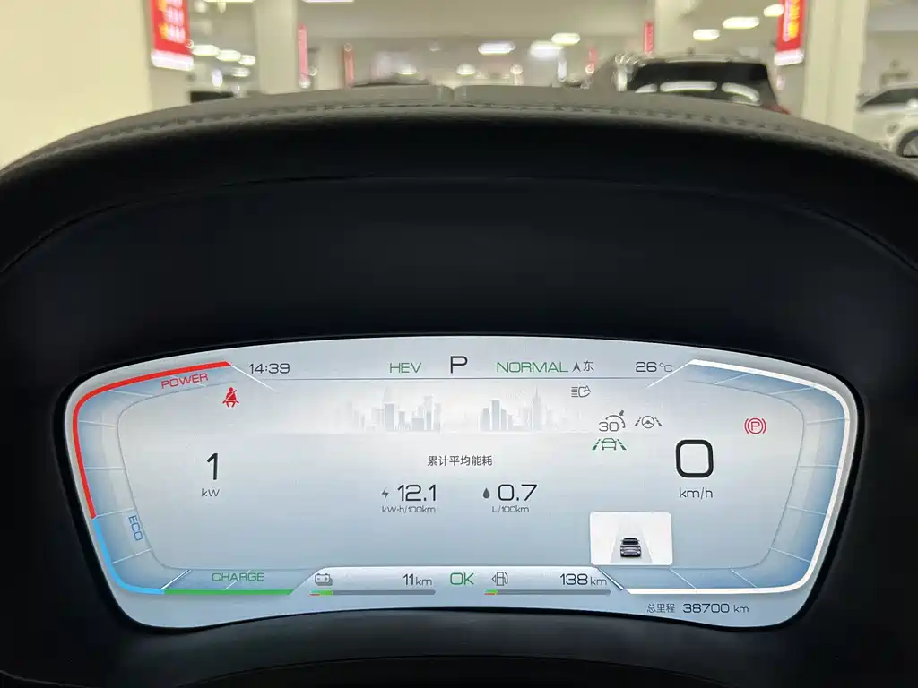 BYD PLUS New Energy — фото 4