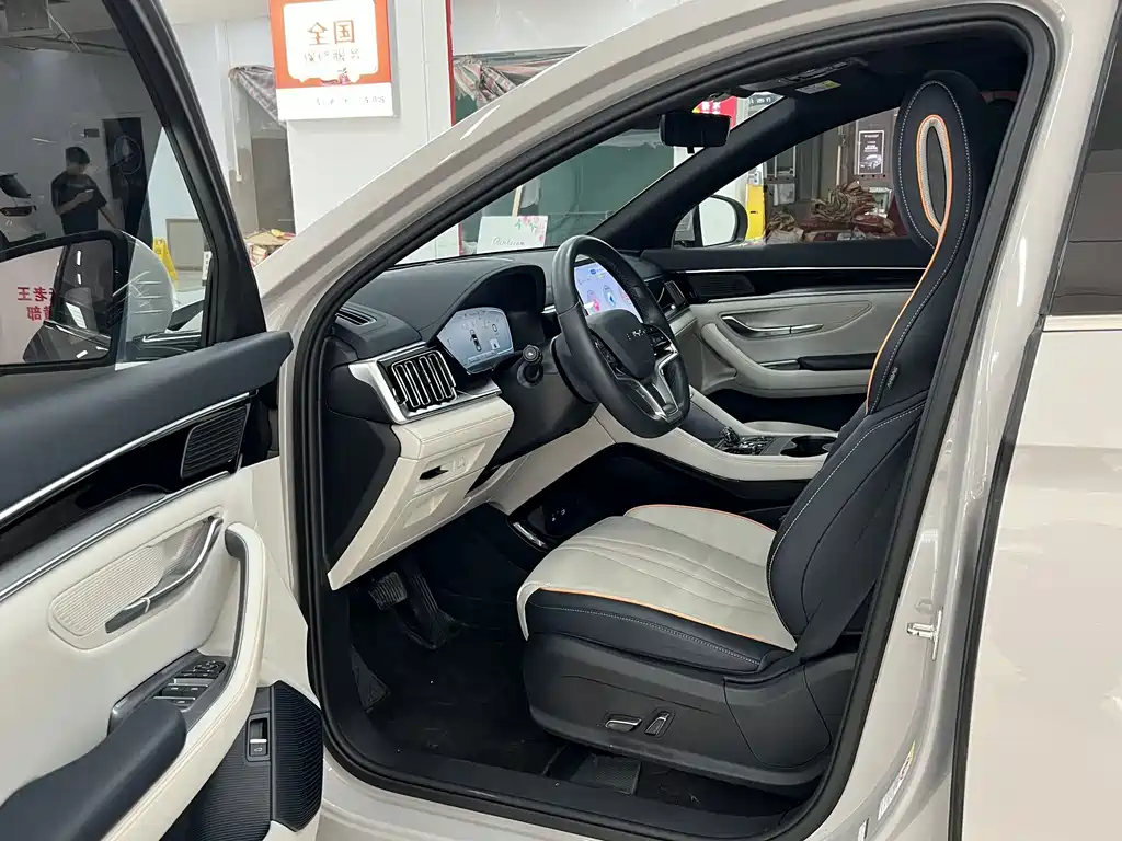 BYD PLUS New Energy — фото 6