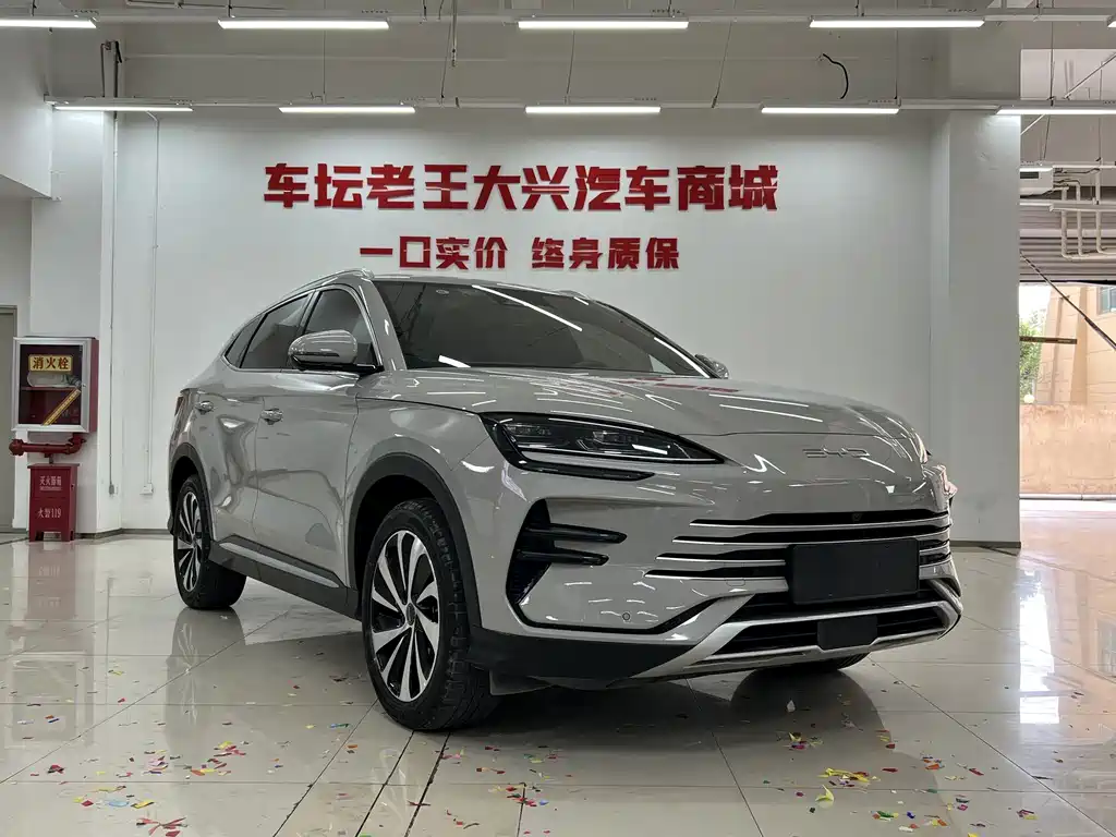BYD PLUS New Energy — фото 8