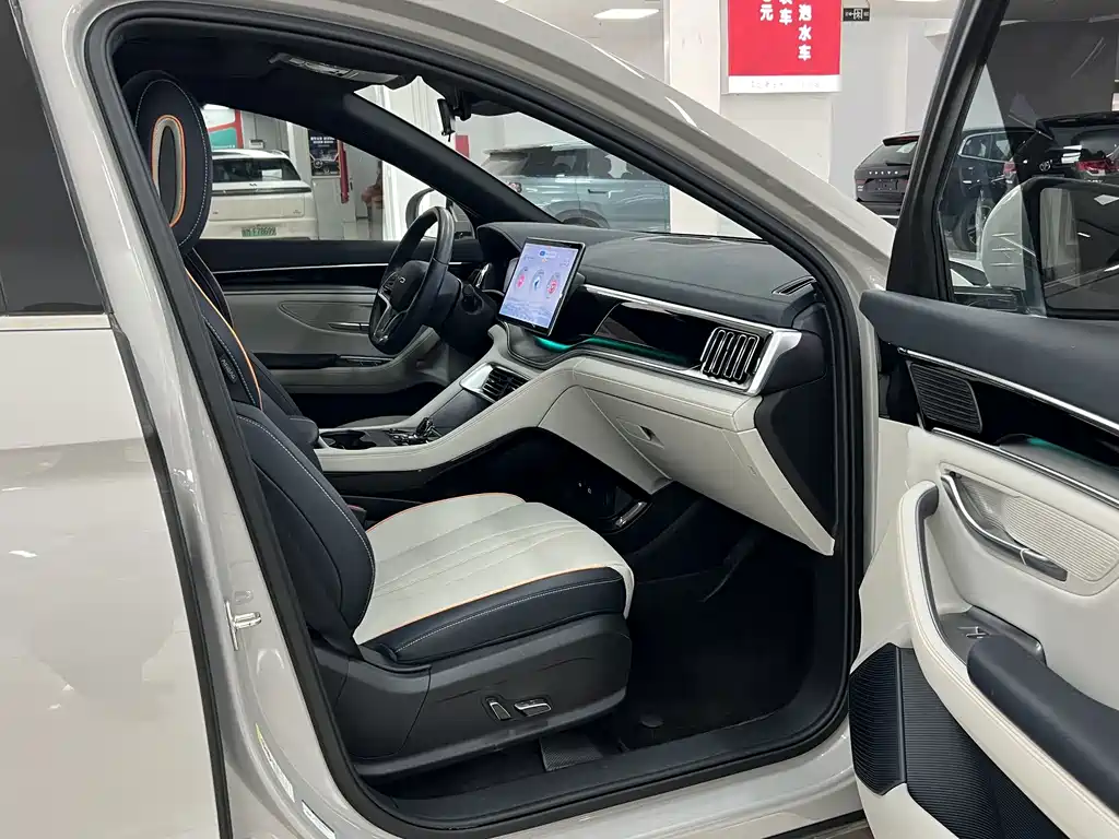 BYD PLUS New Energy — фото 10