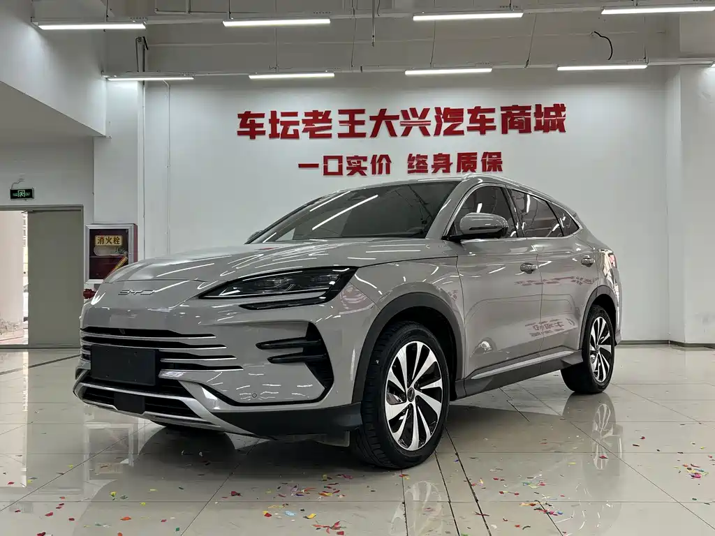 BYD PLUS New Energy