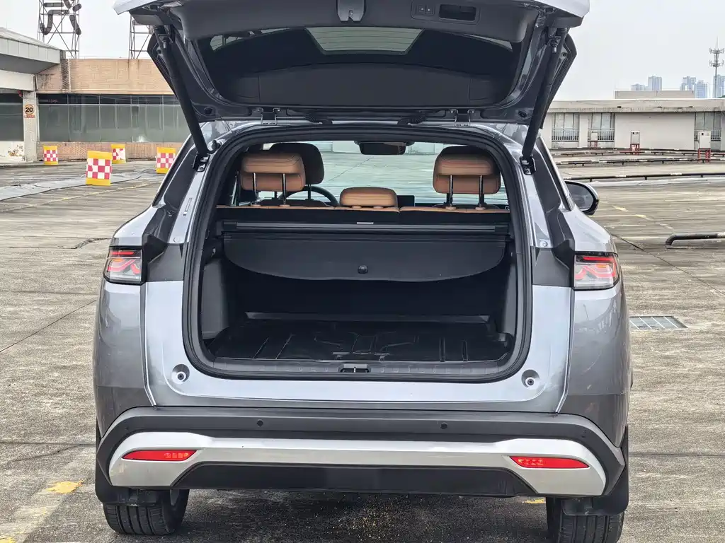 BYD L DM-i — фото 10