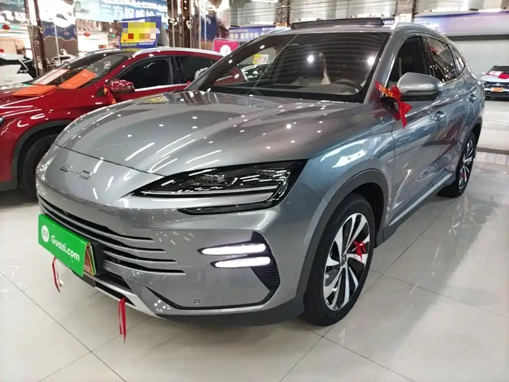 BYD PLUS New Energy — фото 2