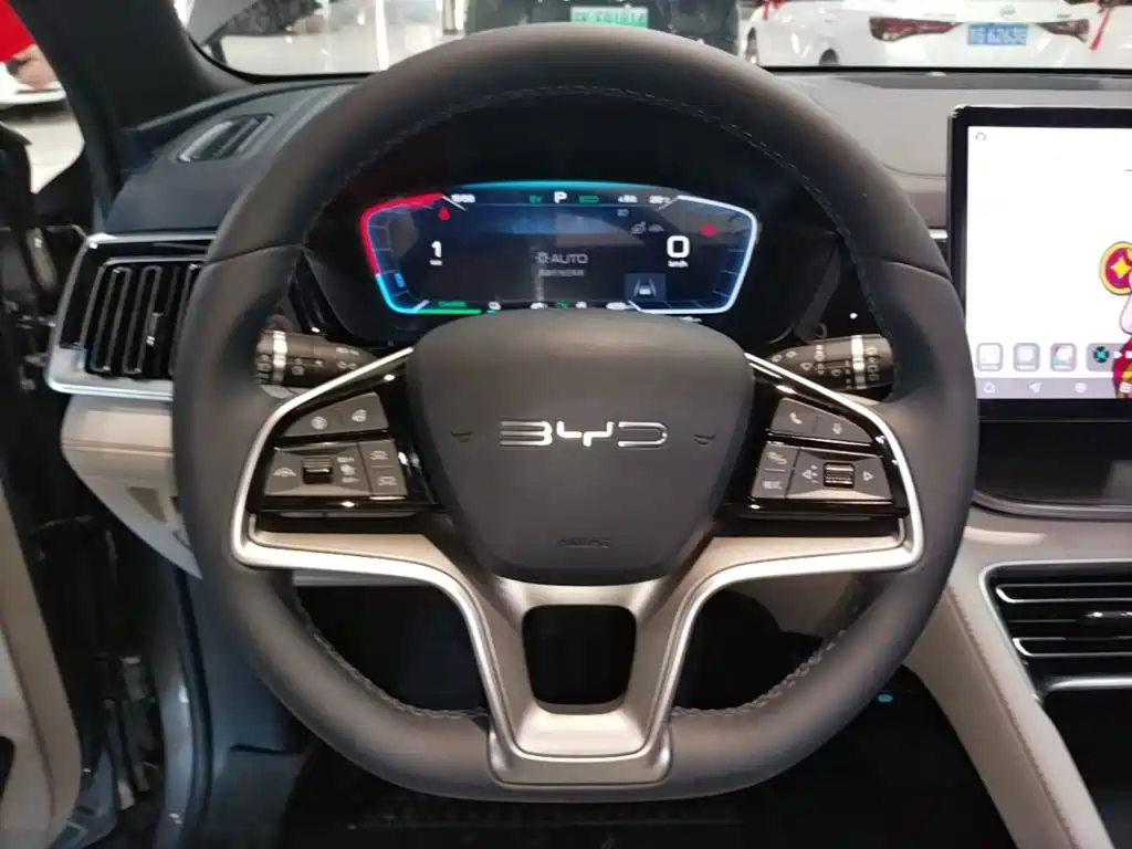 BYD PLUS New Energy — фото 11