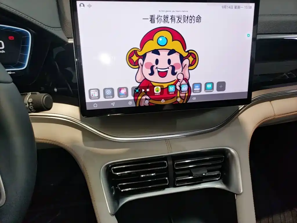 BYD PLUS New Energy — фото 13