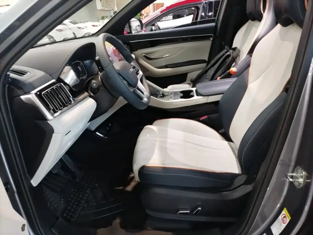 BYD PLUS New Energy — фото 15