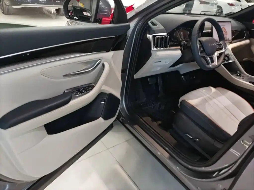 BYD PLUS New Energy — фото 16