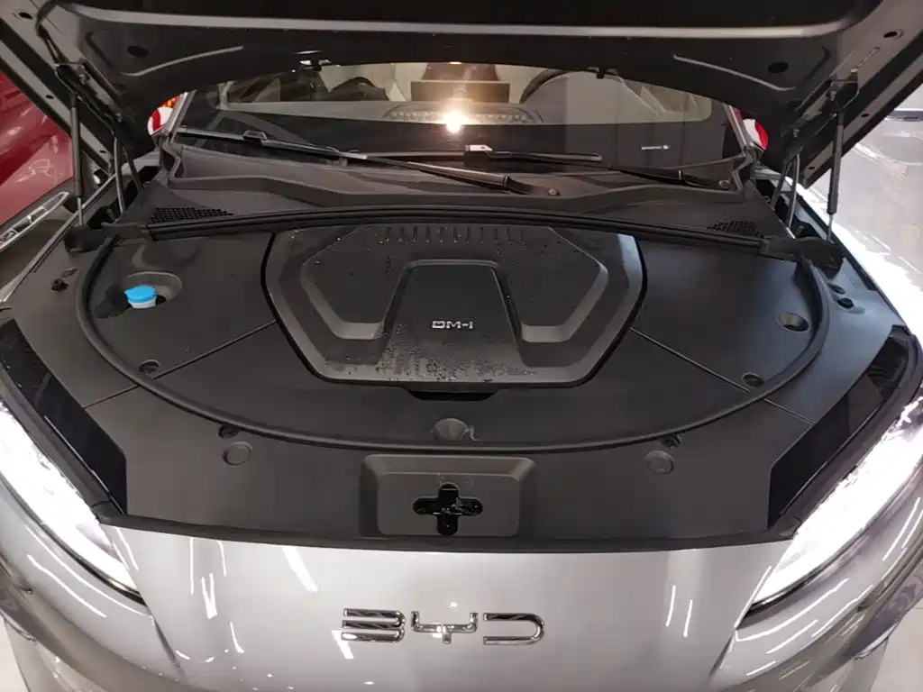 BYD PLUS New Energy — фото 20