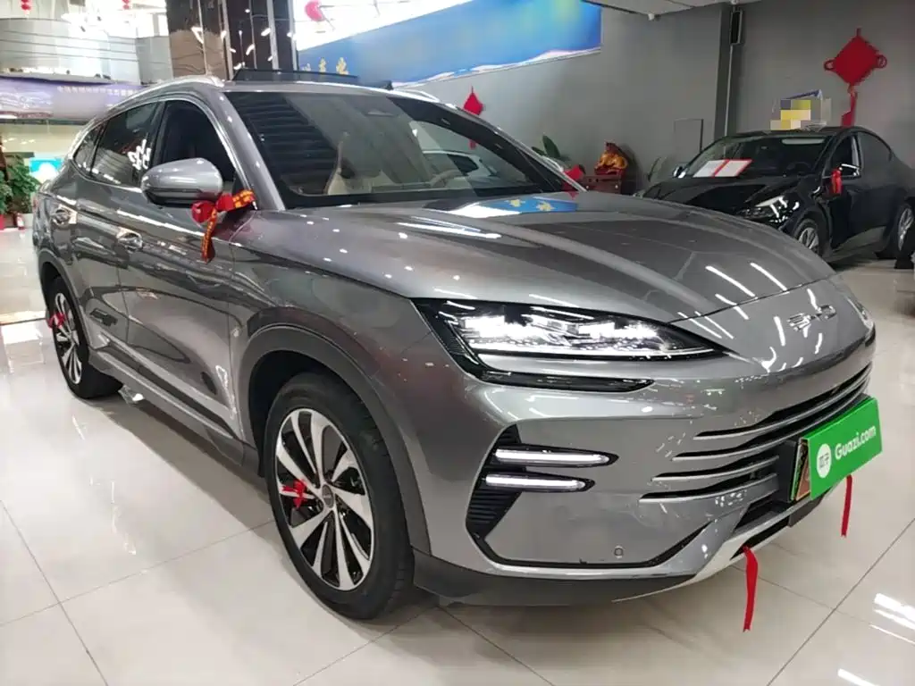 BYD PLUS New Energy — фото 4