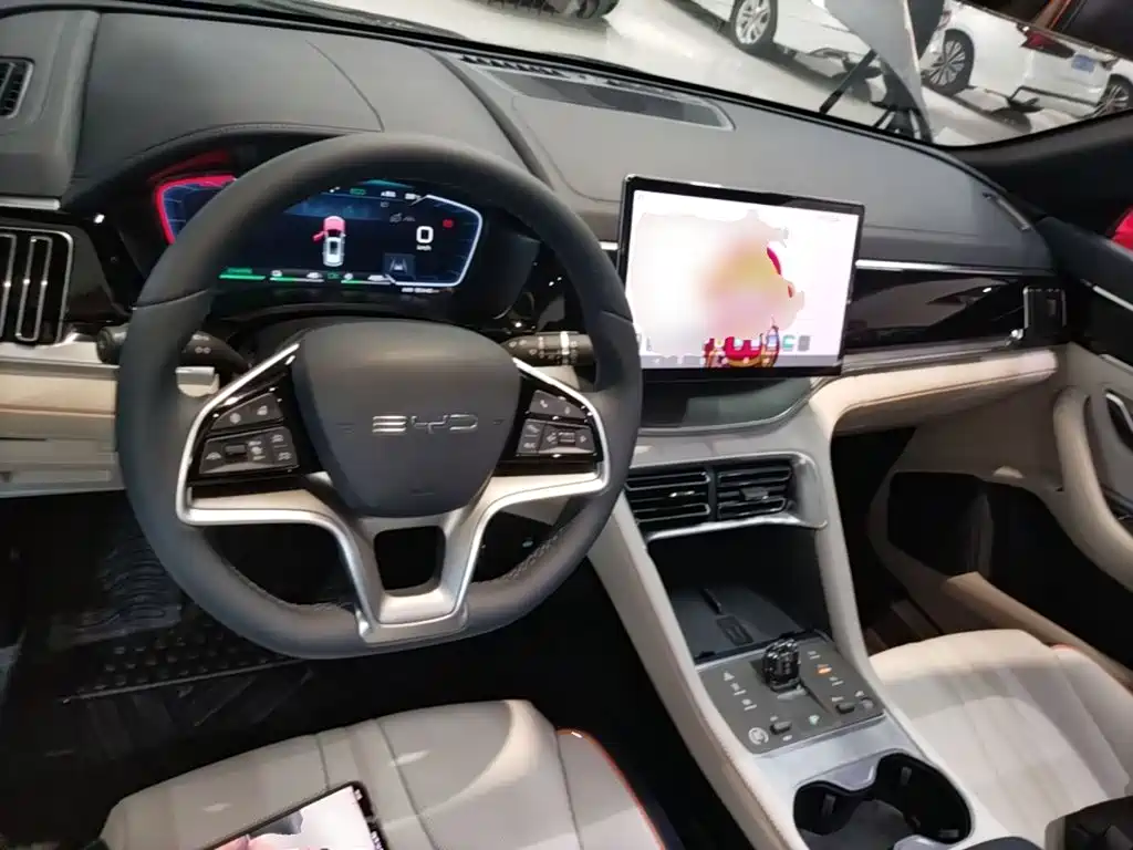 BYD PLUS New Energy — фото 10