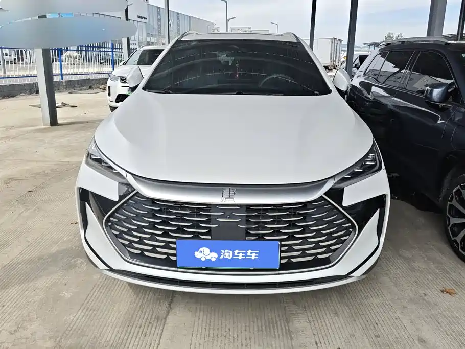 BYD Tang New Energy — фото 2