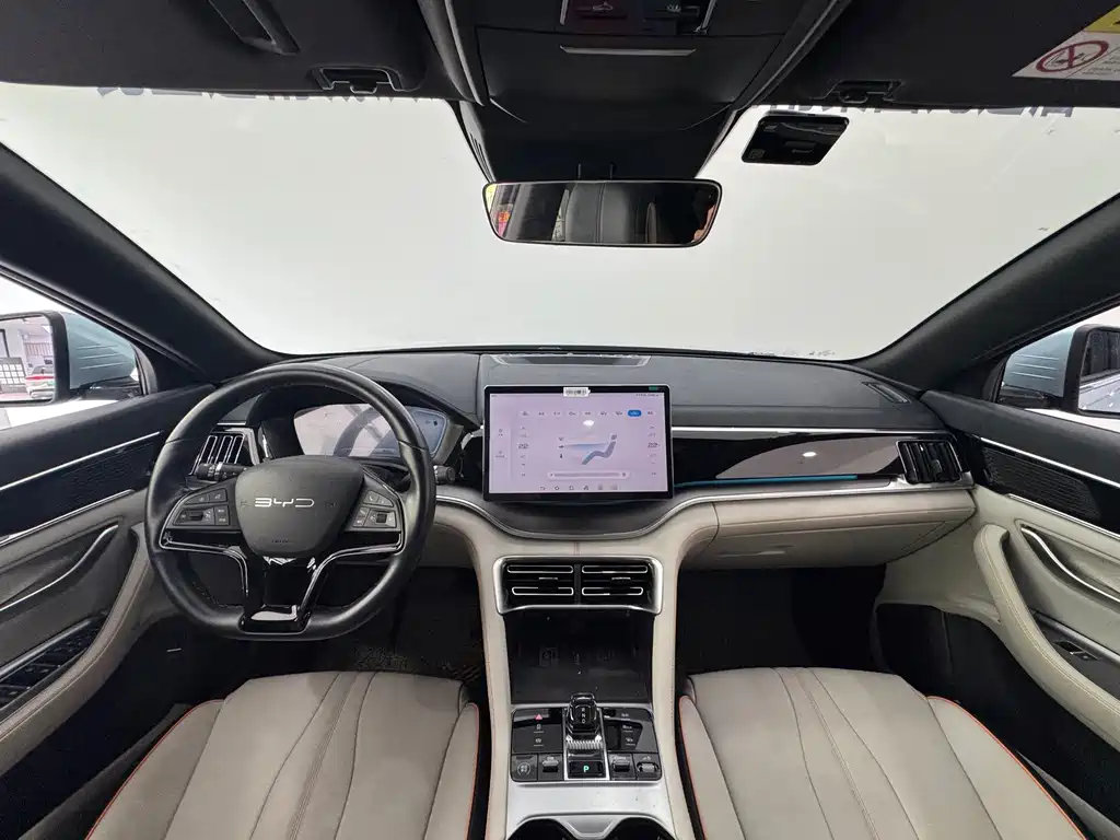 BYD PLUS New Energy — фото 20