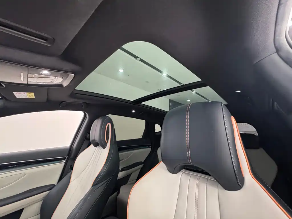 BYD PLUS New Energy — фото 21