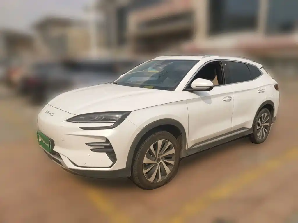 BYD PLUS New Energy — фото 2