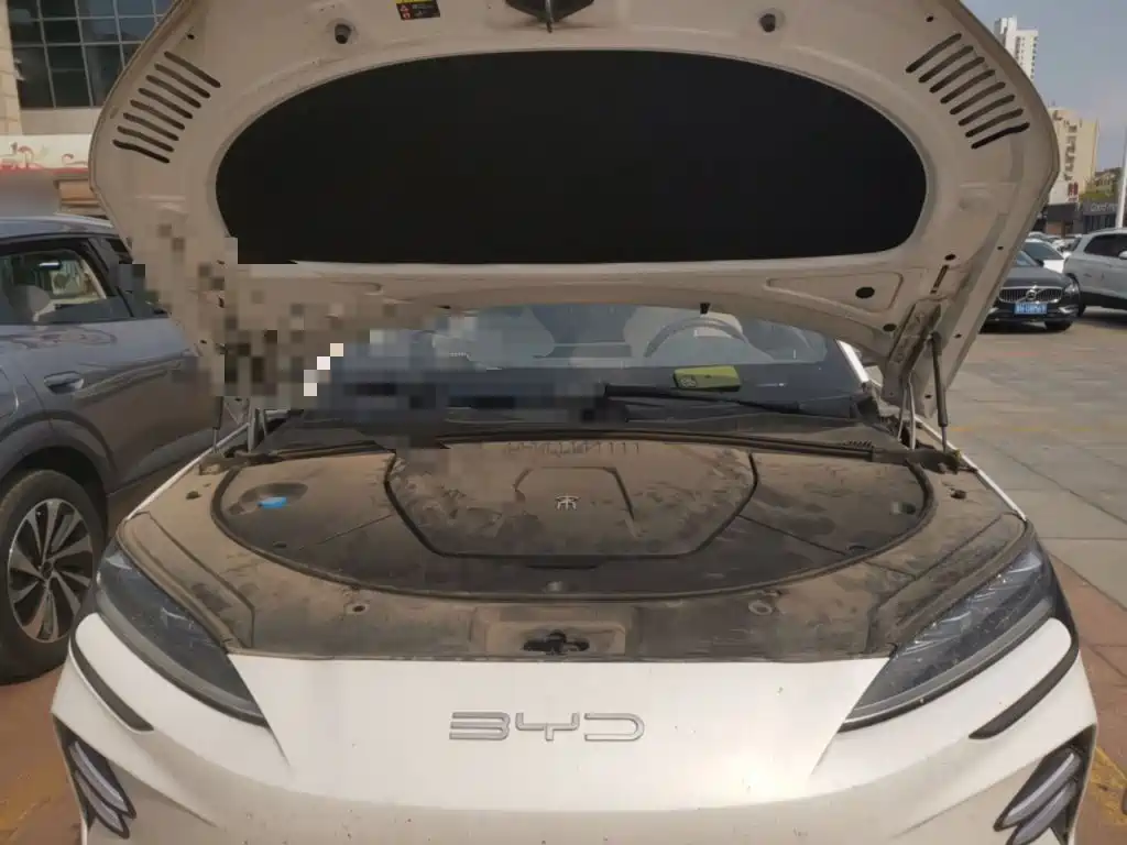 BYD PLUS New Energy — фото 11