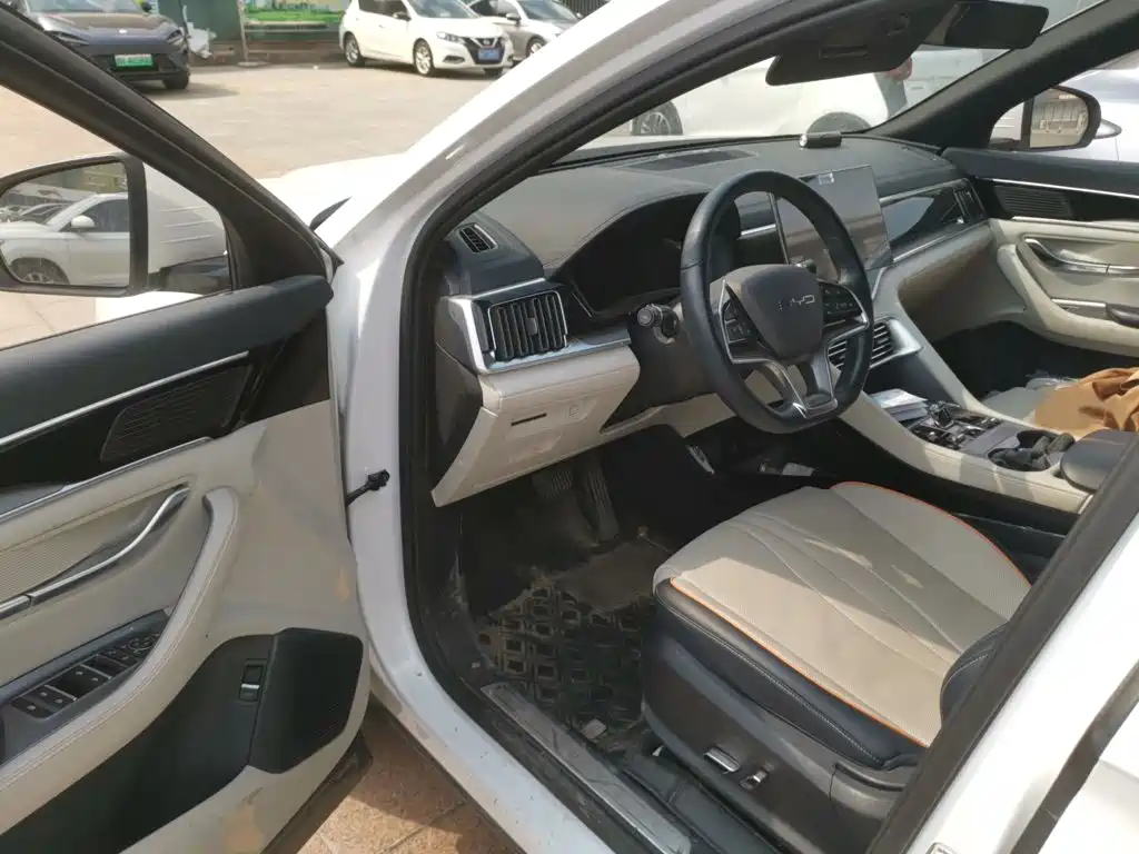 BYD PLUS New Energy — фото 14