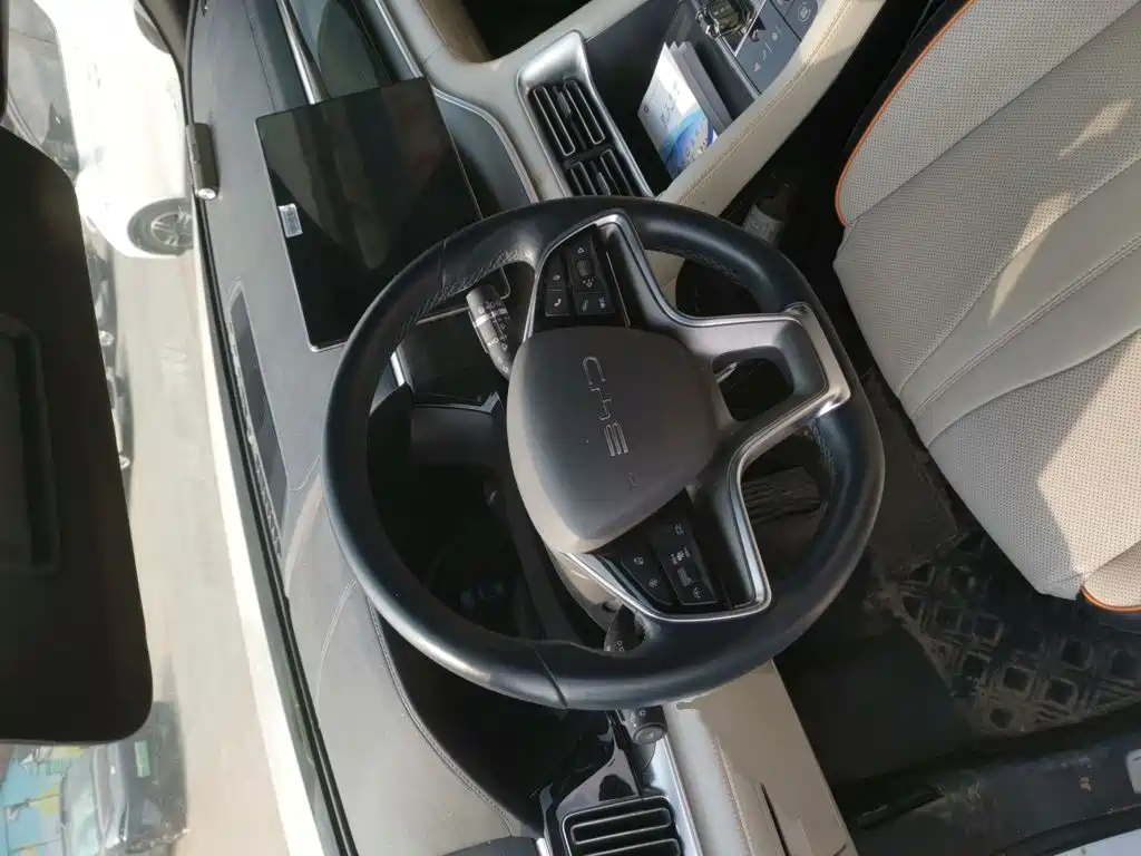 BYD PLUS New Energy — фото 3