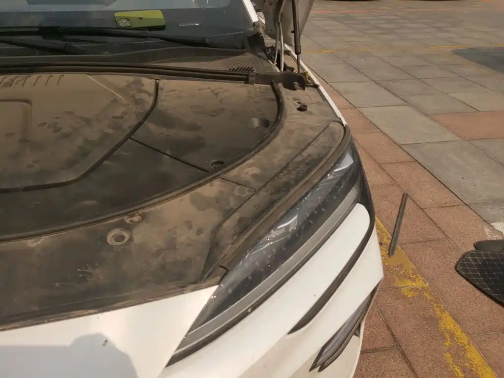 BYD PLUS New Energy — фото 21