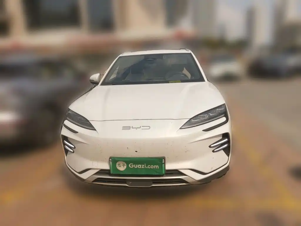 BYD PLUS New Energy — фото 24