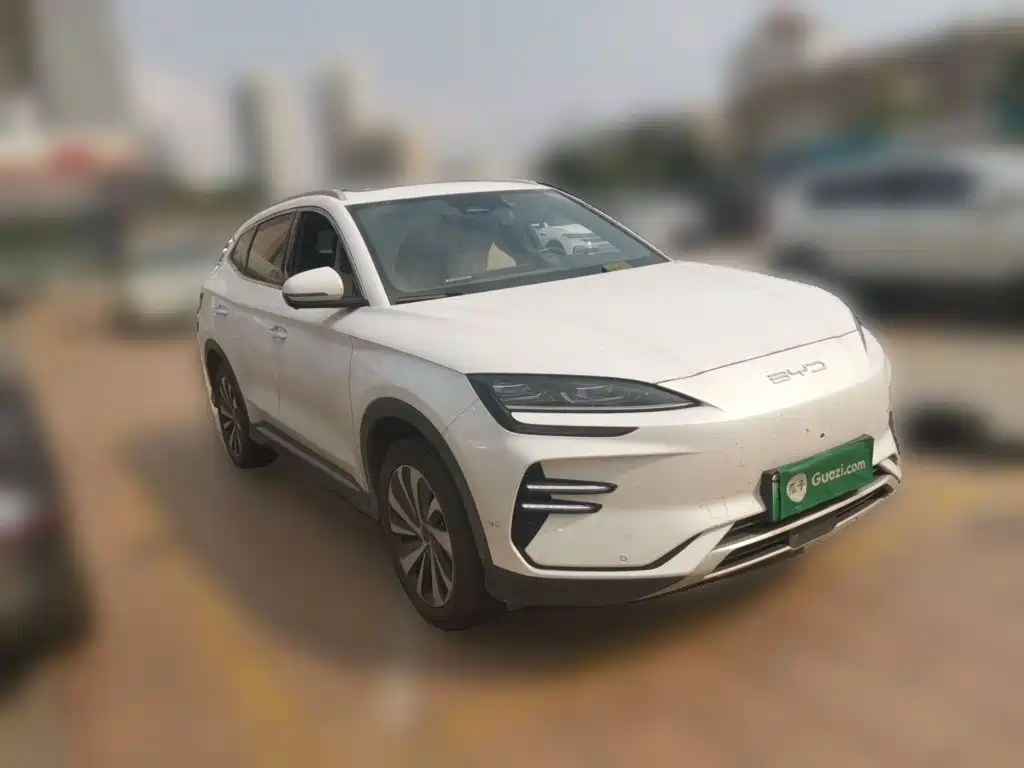BYD PLUS New Energy — фото 25