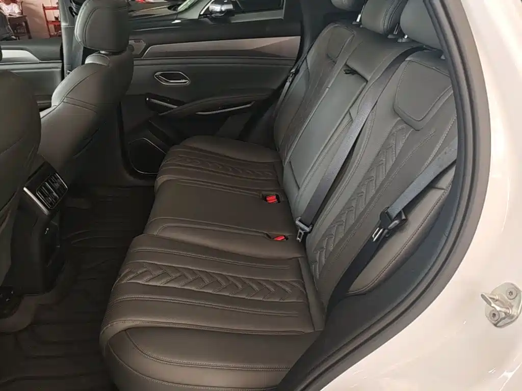 BYD L DM-i — фото 17