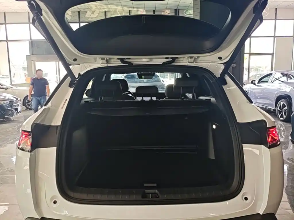 BYD L DM-i — фото 19