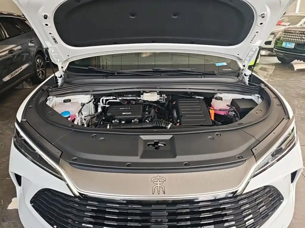 BYD L DM-i — фото 20