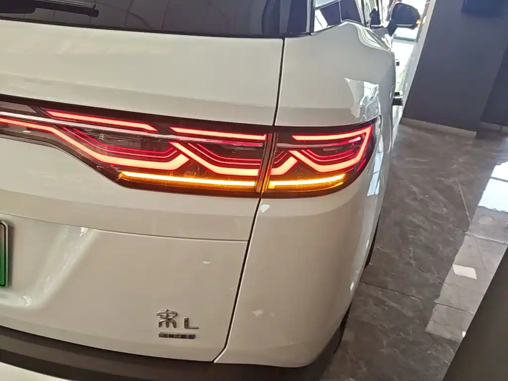 BYD L DM-i — фото 8